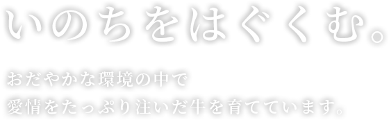 いのちをはぐくむ。